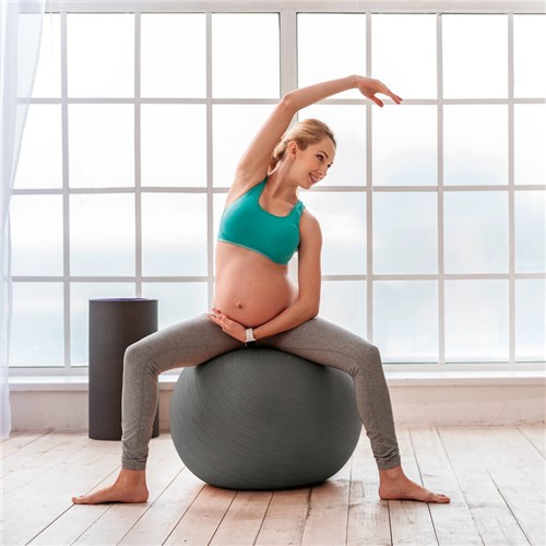WEB-PWGB-powr-anti-burst-gym-ball-pezzi-1